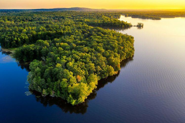  Imágen de la Selva Amazonica 